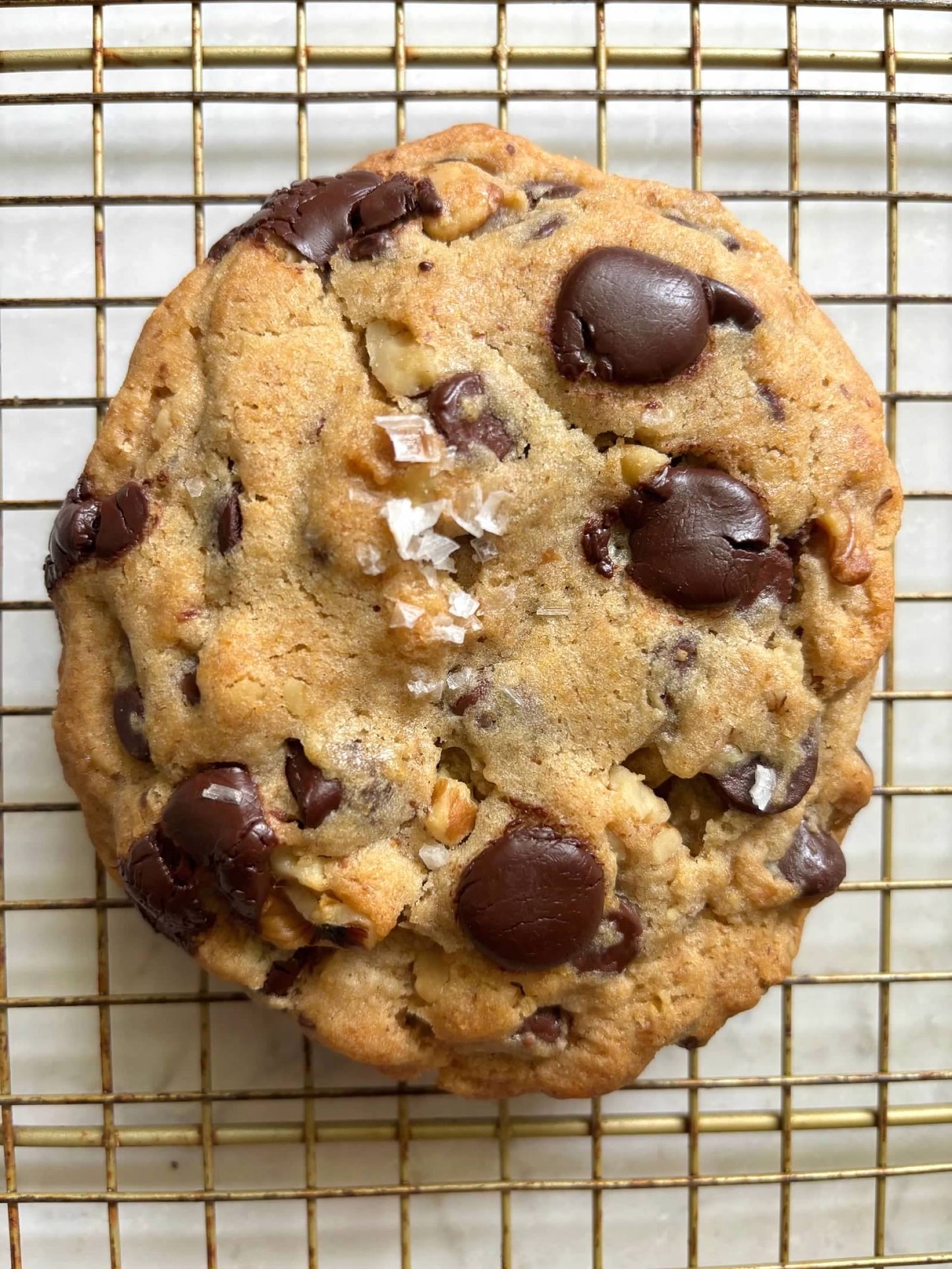 Chocolate Chip Walnut