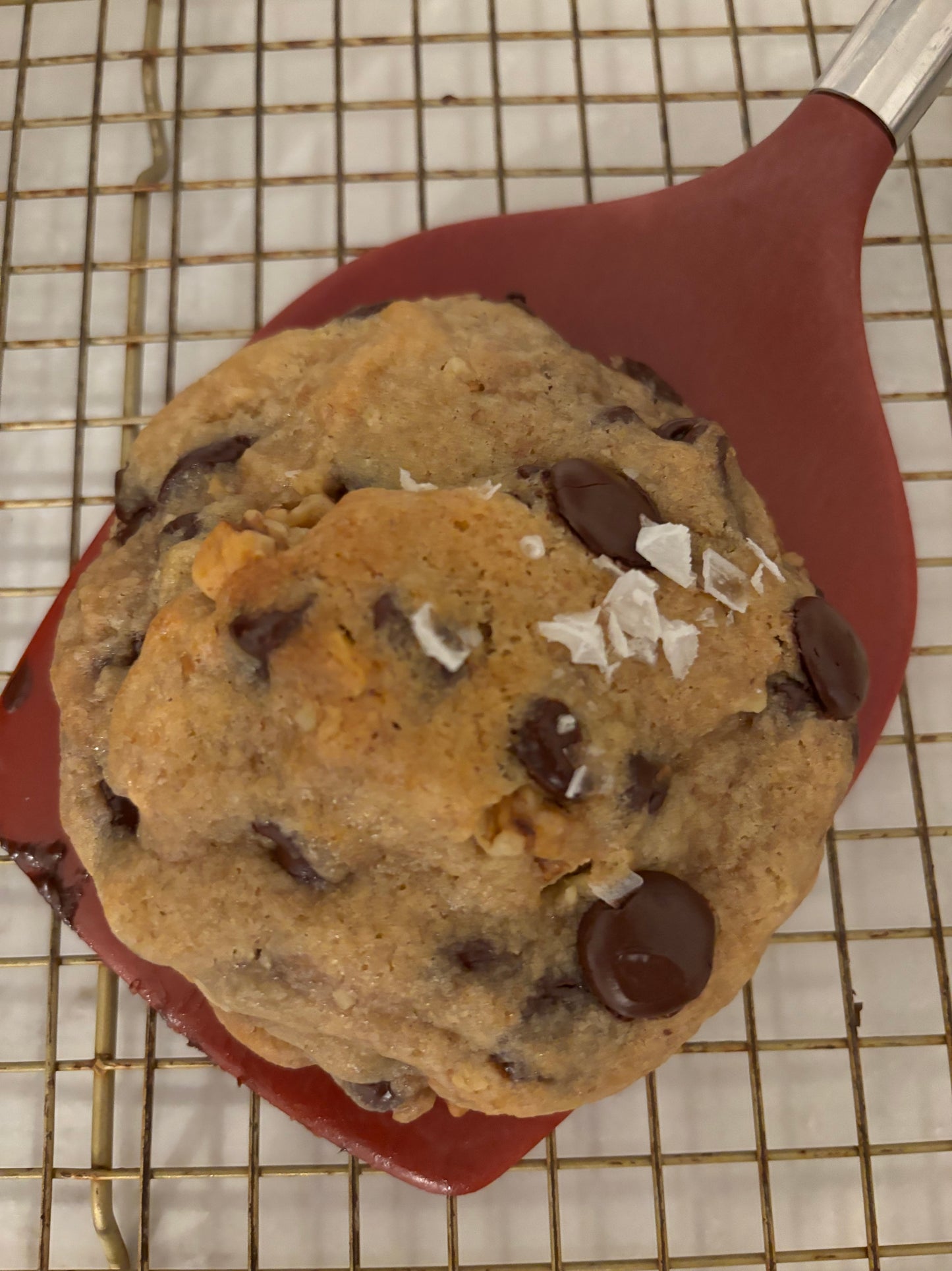 Butterscotch chocolate chip walnut