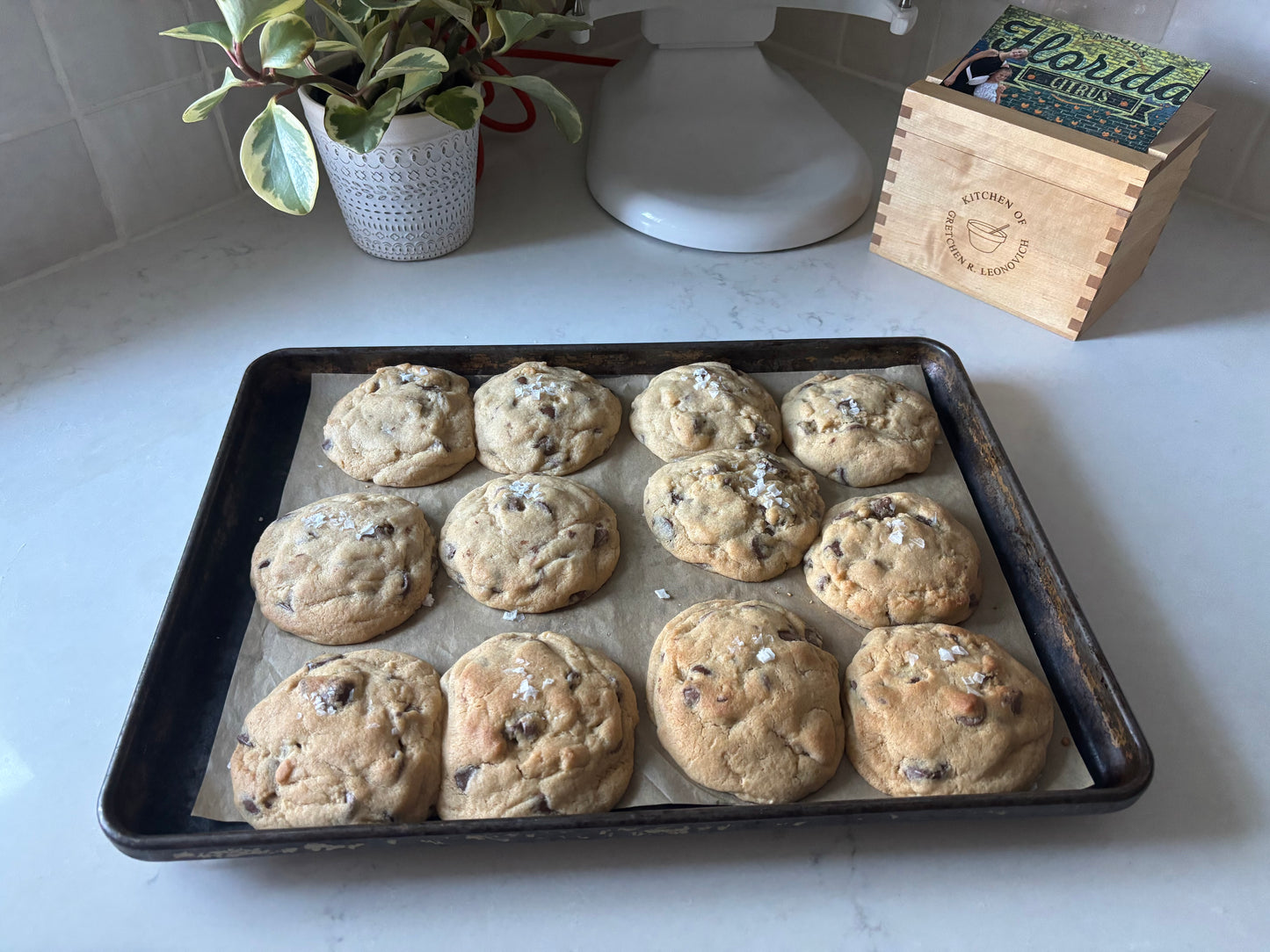 Chocolate Chip Walnut